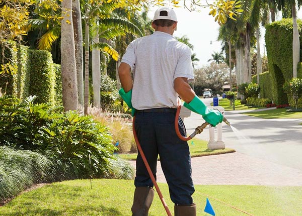About Ocklawaha FL Pest Control